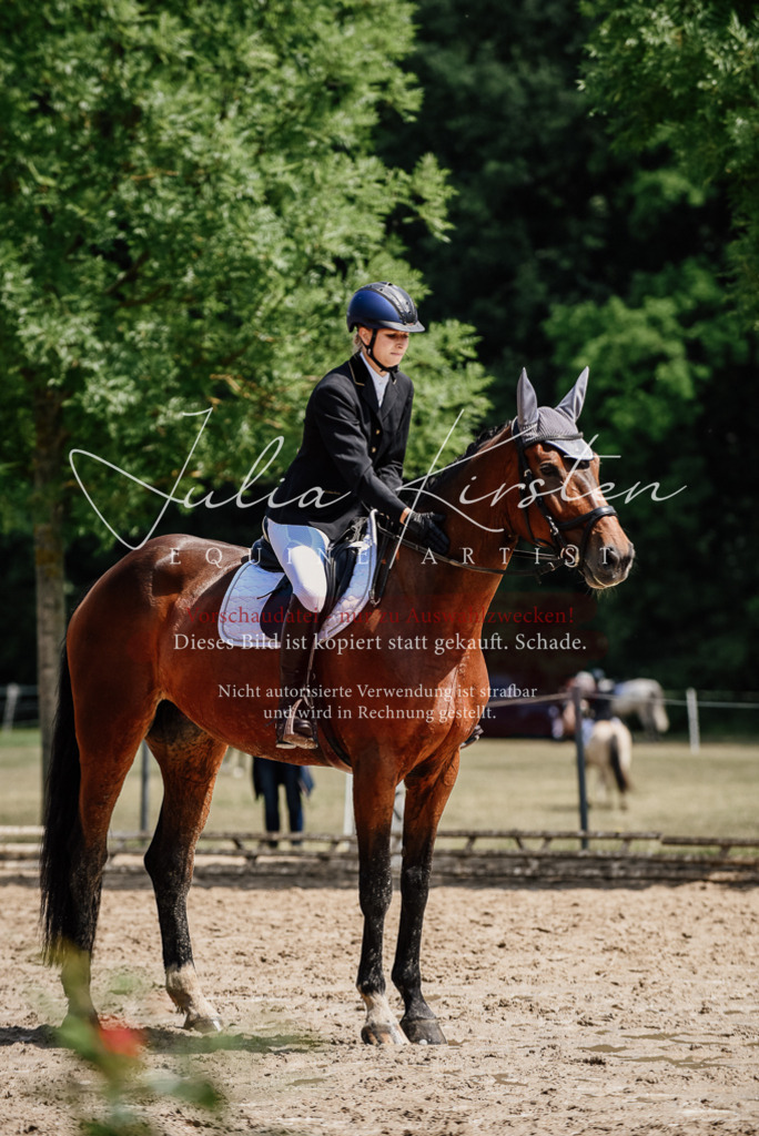 DSC_1172 | Pferde- und Turnierfotografie in Westsachsen. Pferdeportraits, Auftragszeichnungen und intuitive Kunst.