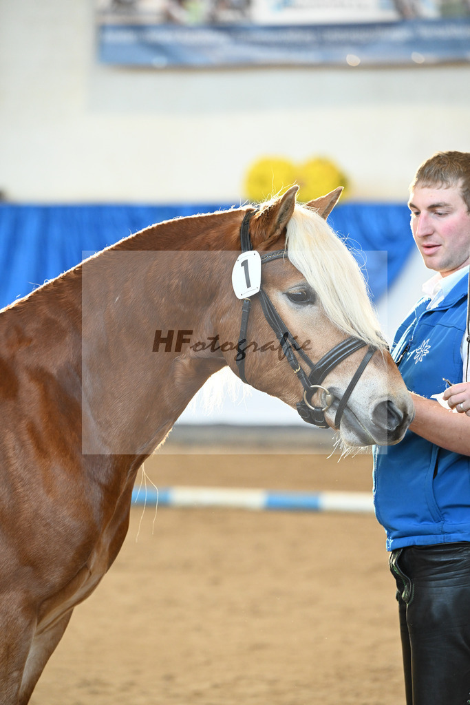 Kat-Nr. 1 Akito v. Ace of Hearts_Oswald_48250775 | hf-fotografie - Realisiert mit Pictrs.com
