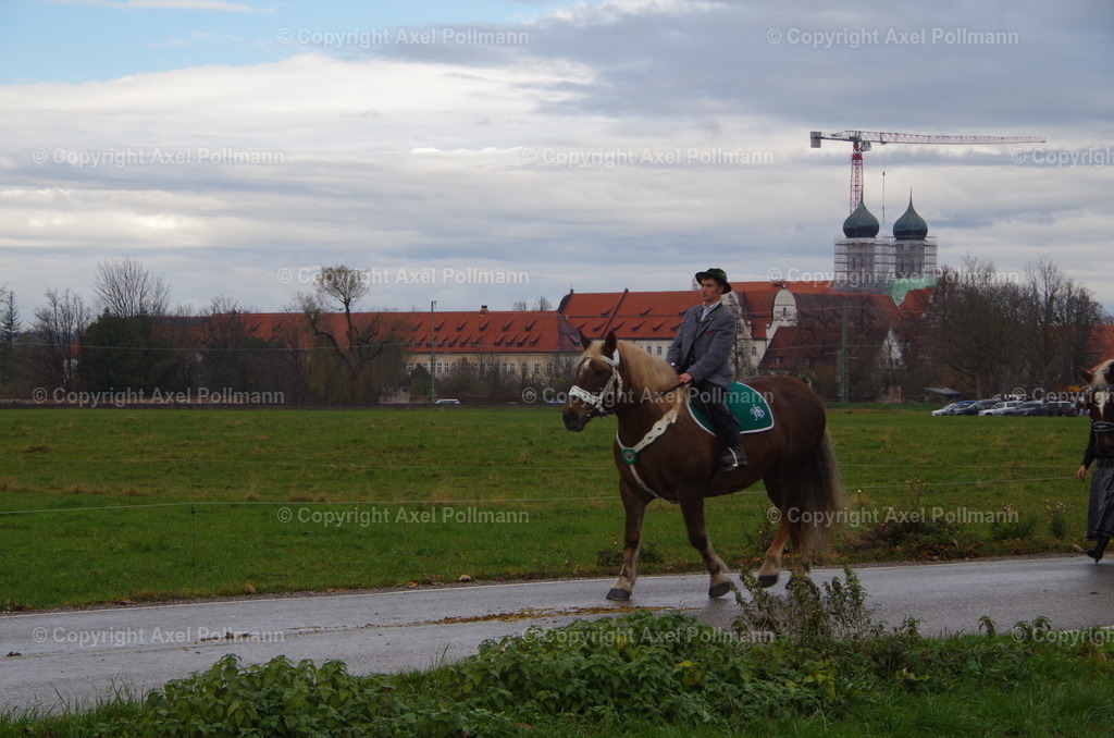 IMGP9900 | fotografiert von Axel PollmannLeonhardi Wallfahrt Benediktbeuern und Murnau, Fronleichnam, Fasching, Landschaft im Loisachtal und Benediktbeuern  - Realisiert mit Pictrs.com
