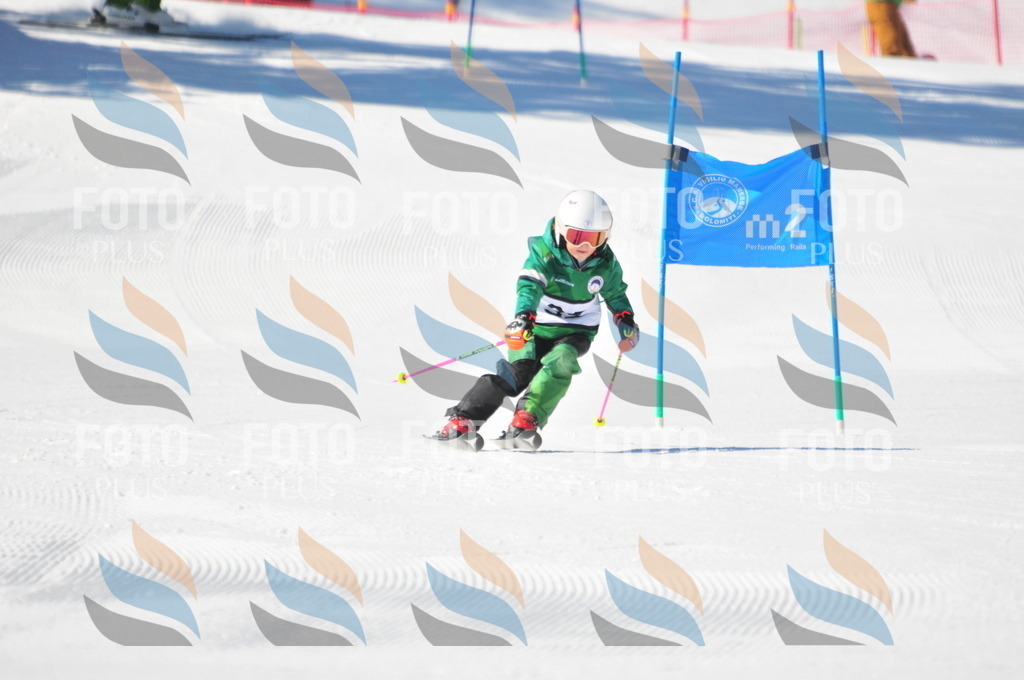 C2096 | holidayphoto