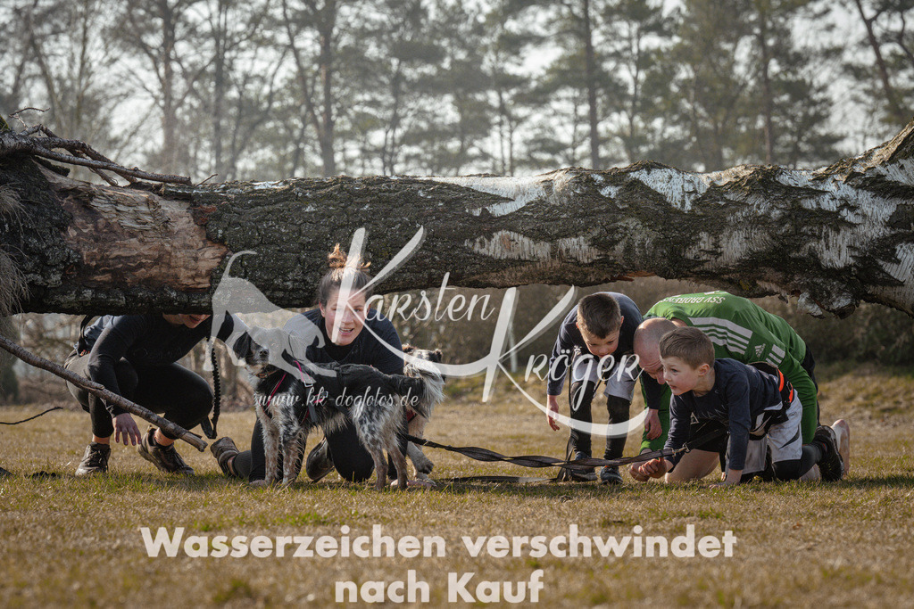 1010_ZZ91532-Bearbeitet | kk-dogfotos