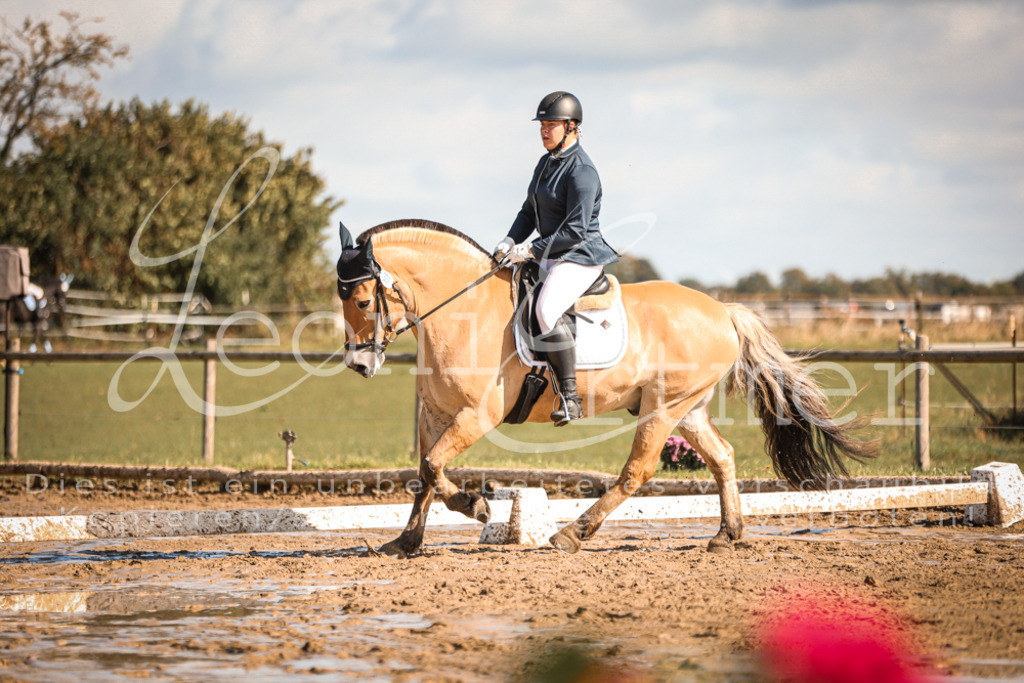 07.SoDrE00243 | Leoni Ertmer Photography - Realisiert mit Pictrs.com