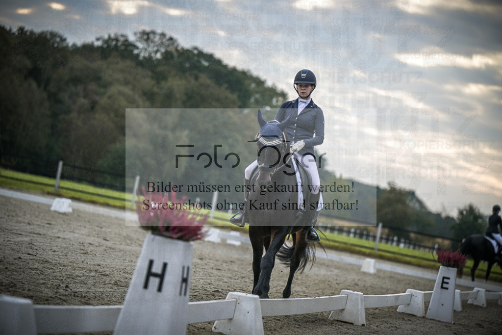 DOS_2278 | Entdecke hochwertige Reitturnierfotos von Foto Oger. Professionell, emotional und authentisch – jetzt Lieblingsmomente im Shop bestellen.Deutschlandweite Turnierfotografie. - Realisiert mit Pictrs.com