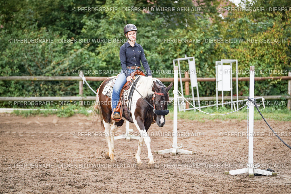 DSC08932 | Pferdegrafie