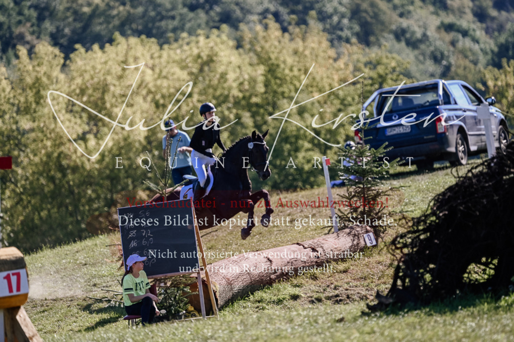 DSC_3401 | Pferde- und Turnierfotografie in Westsachsen. Pferdeportraits, Auftragszeichnungen und intuitive Kunst.