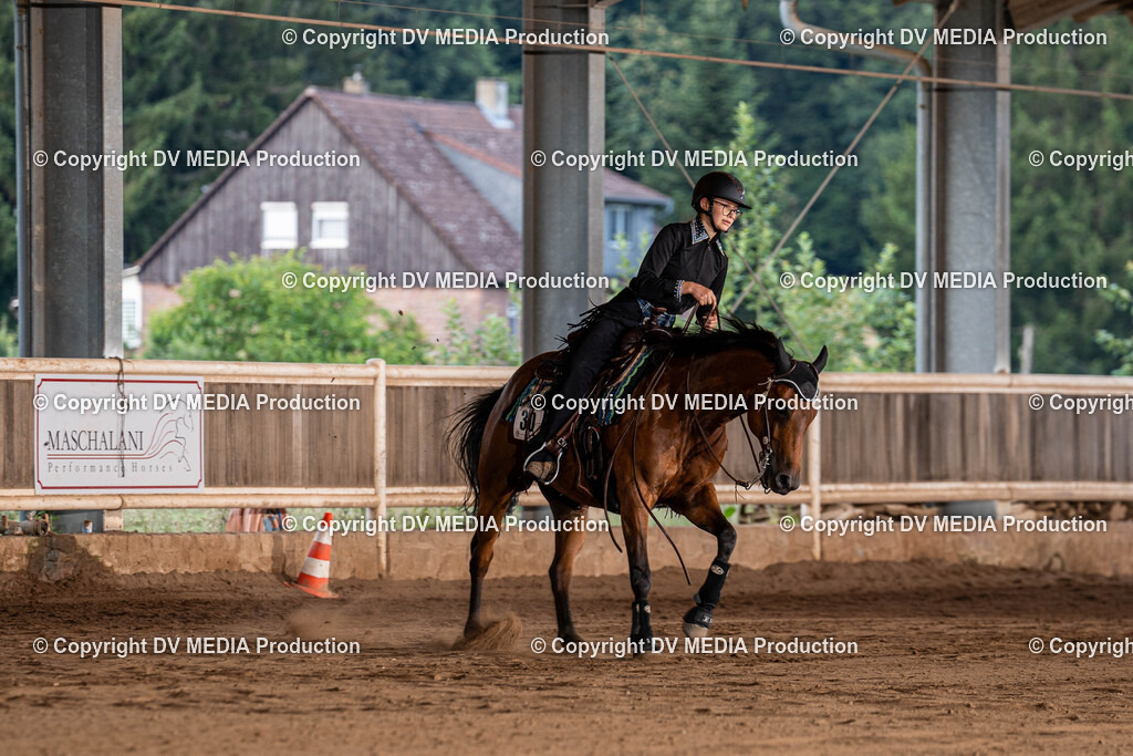 Erbach Tag 1-1190 | dv-media-shop - Realisiert mit Pictrs.com