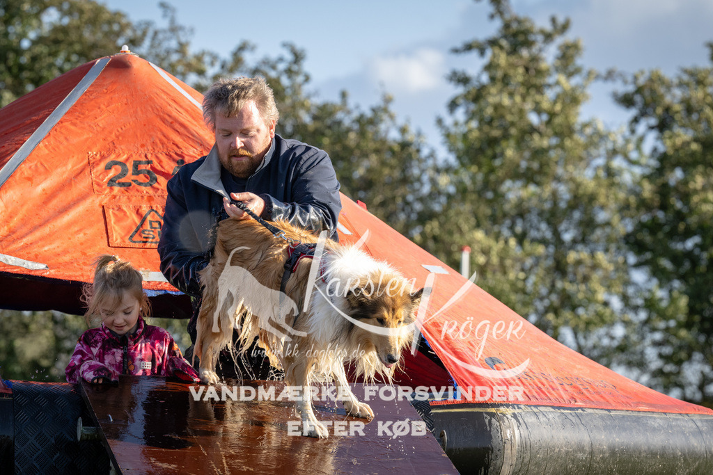 1450-90135 | kk-dogfotos