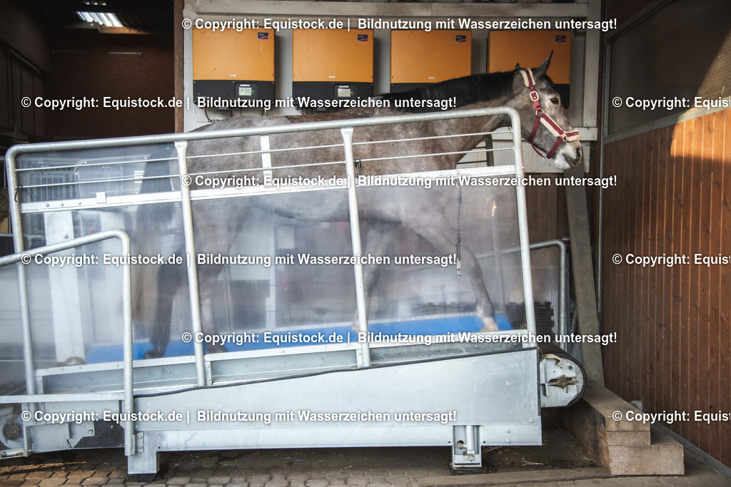 20200118_Laufband_0025 | Foto: Thomas Hartig