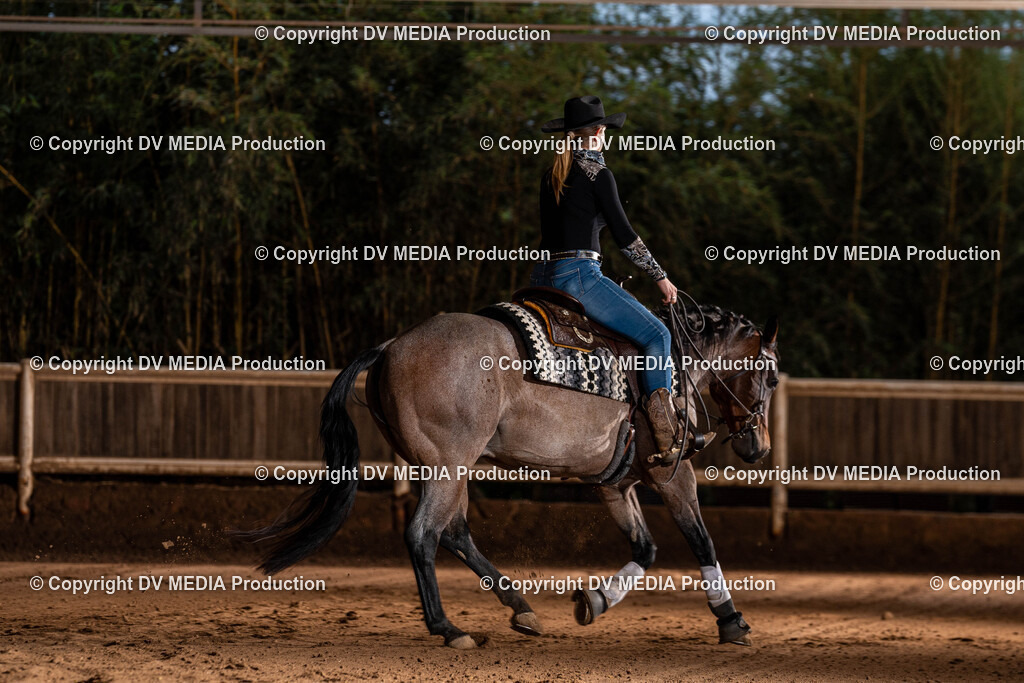 Erbach Tag 1-1288 | dv-media-shop - Realisiert mit Pictrs.com