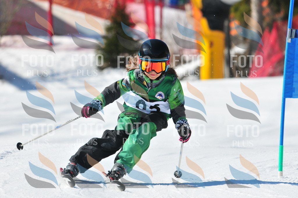 C2983 | holidayphoto