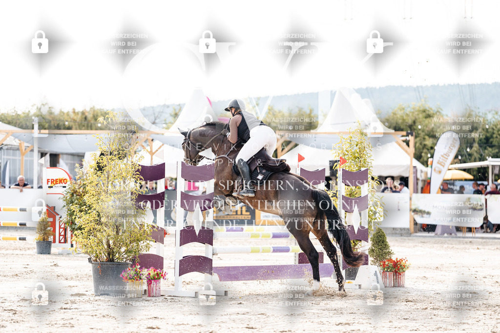 CK906553 | Turnierfotografie Pferdefotografie Trier Rheinland-Pfalz Pferdesport Reitsport Tierfotografie Sportfotografie Pferdevideo Pferdevideografie Equestrianvideography equestrianphotography  - Realisiert mit Pictrs.com