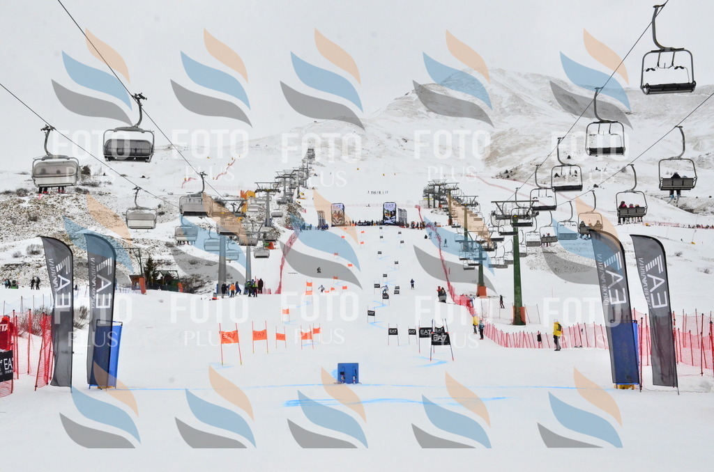 _ELE3617 | holidayphoto