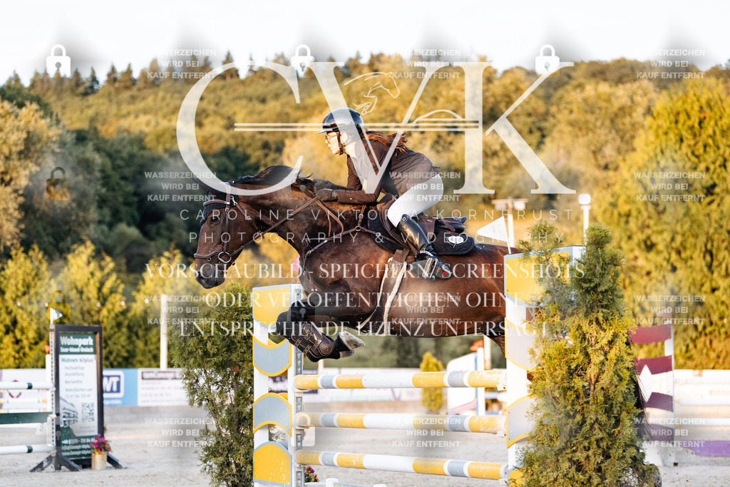 CK901219 | Turnierfotografie Pferdefotografie Trier Rheinland-Pfalz Pferdesport Reitsport Tierfotografie Sportfotografie Pferdevideo Pferdevideografie Equestrianvideography equestrianphotography  - Realisiert mit Pictrs.com