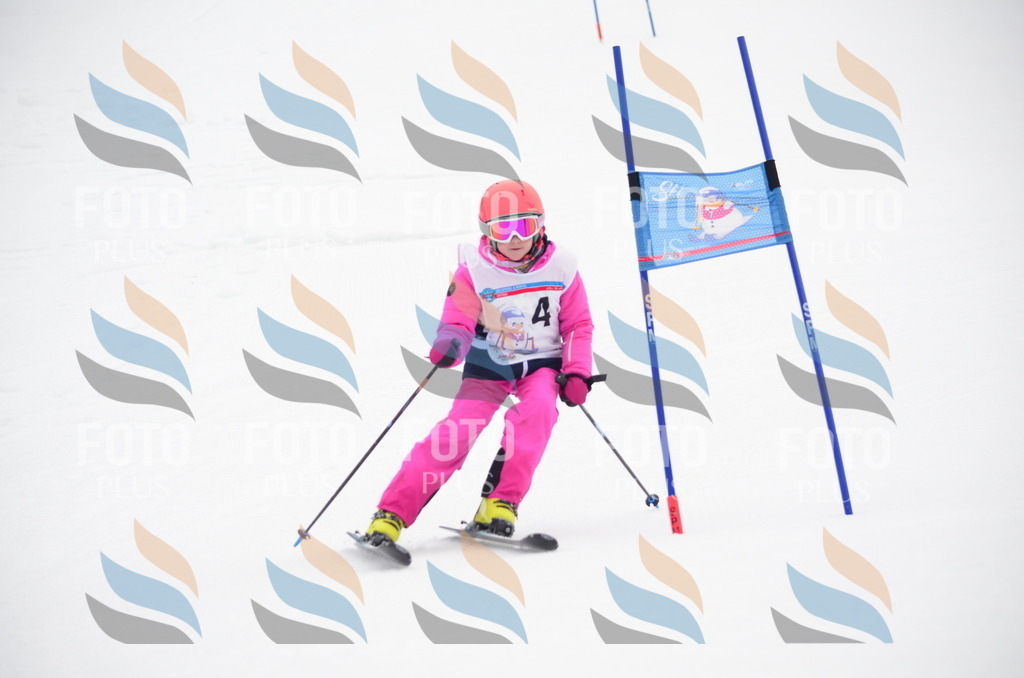 C0295 | holidayphoto