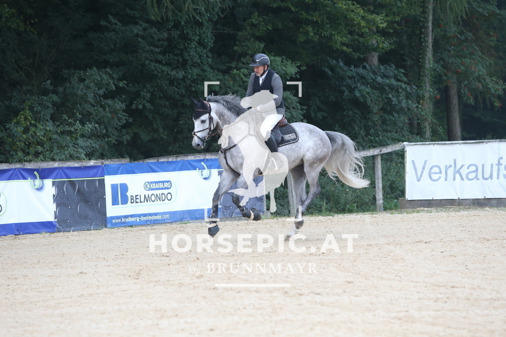 DL2Q5788 | Willkommen bei Brunnmayr - Design & Fotografie – Ihrem Spezialisten für Reitturniere und Pferdeveranstaltungen in Oberösterreich, Salzburg und Bayern! Seit über 17 Jahren sind wir leidenschaftlich dabei.