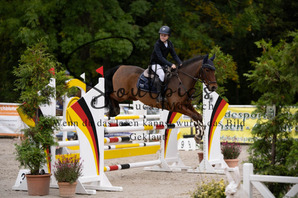 A7V09331 | Pferdefotograf