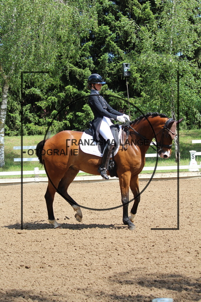 IMG_7474 | franziskalange - Realisiert mit Pictrs.com