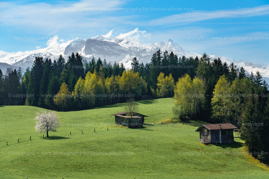 Stumm im Frühling copyright Thomas Pfister-6 | PHOTOGRAPHY BY THOMAS PFISTER