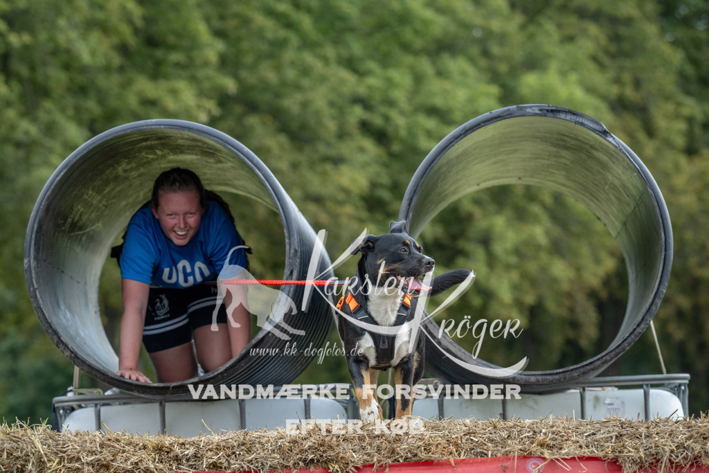 1030_ZZ92354 | kk-dogfotos