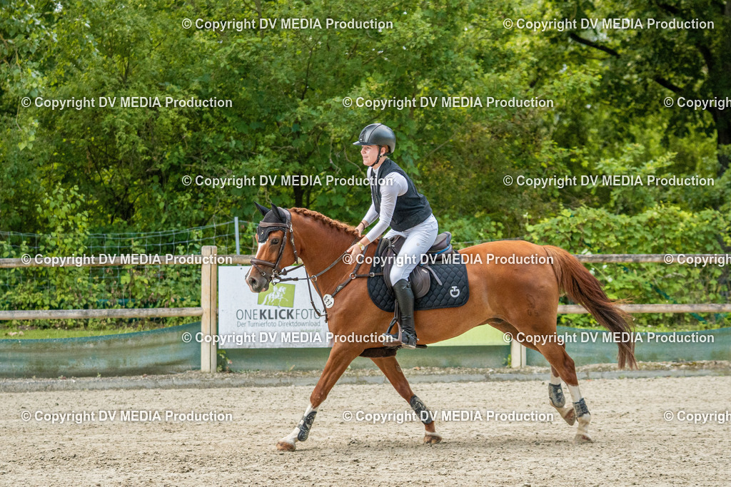 Hessische Tag 3-327 | dv-media-shop - Realisiert mit Pictrs.com