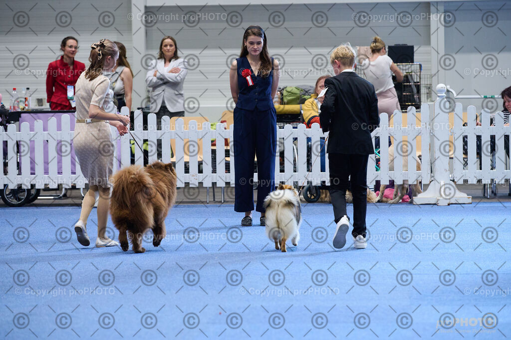 202406_ÖKV-IHA-Tulln24_DSC_4739 | proPHOTO - Realisiert mit Pictrs.com