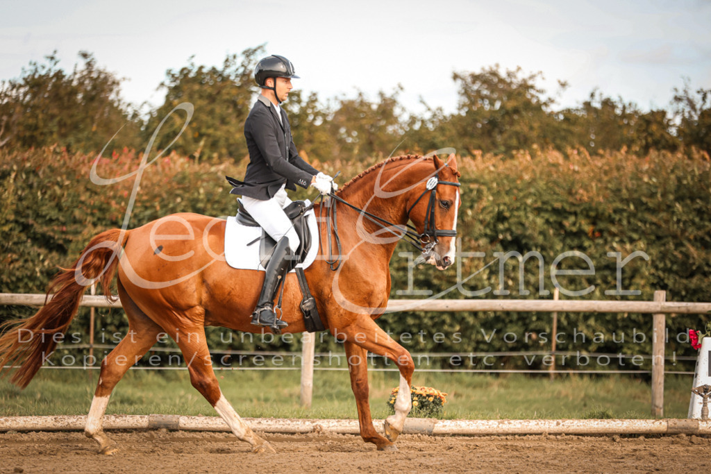 17.SoDrM00236 | Leoni Ertmer Photography - Realisiert mit Pictrs.com