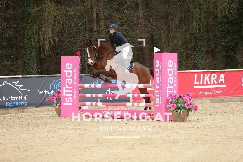 DL2Q6095 | Willkommen bei Brunnmayr - Design & Fotografie – Ihrem Spezialisten für Reitturniere und Pferdeveranstaltungen in Oberösterreich, Salzburg und Bayern! Seit über 17 Jahren sind wir leidenschaftlich dabei.