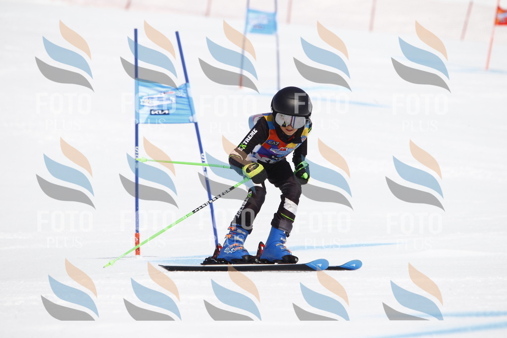 _U3G4630 | holidayphoto