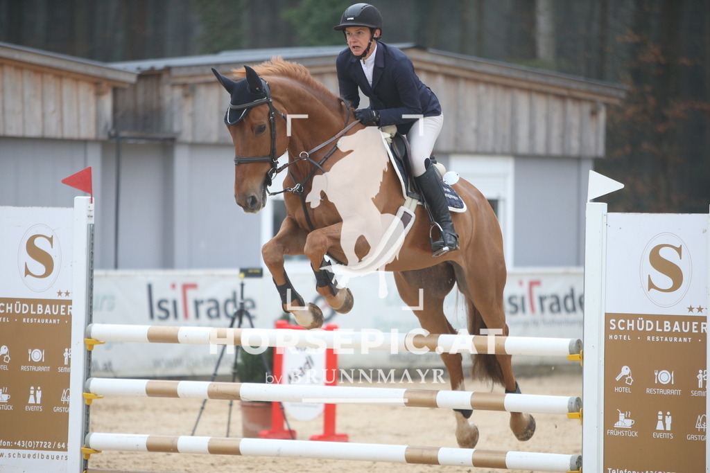 PP012668 | Willkommen bei Brunnmayr - Design & Fotografie – Ihrem Spezialisten für Reitturniere und Pferdeveranstaltungen in Oberösterreich, Salzburg und Bayern! Seit über 17 Jahren sind wir leidenschaftlich dabei.