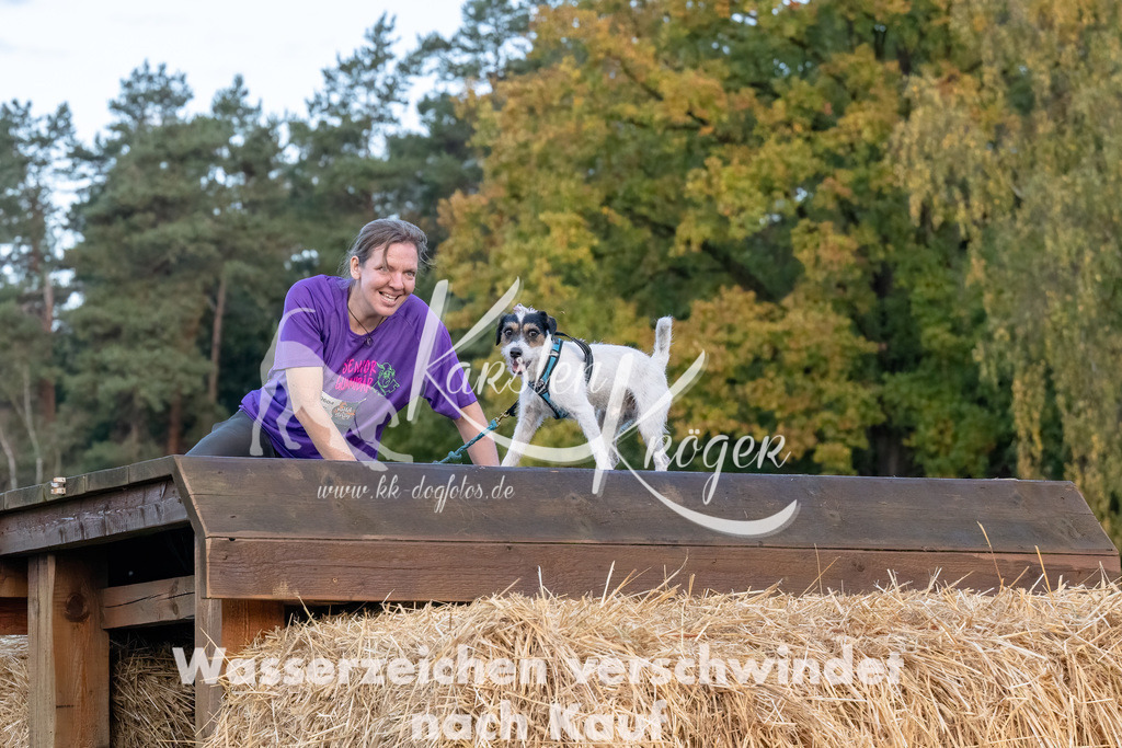 0811_ZZ94728-Bearbeitet | kk-dogfotos