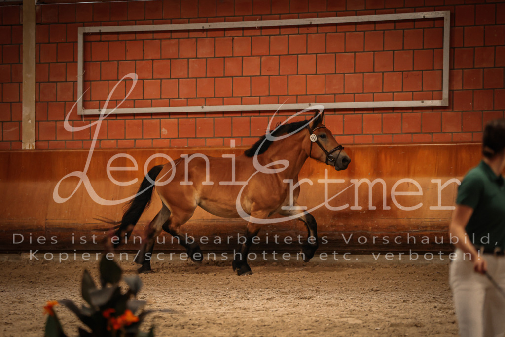 SaFL00294 | Leoni Ertmer Photography - Realisiert mit Pictrs.com