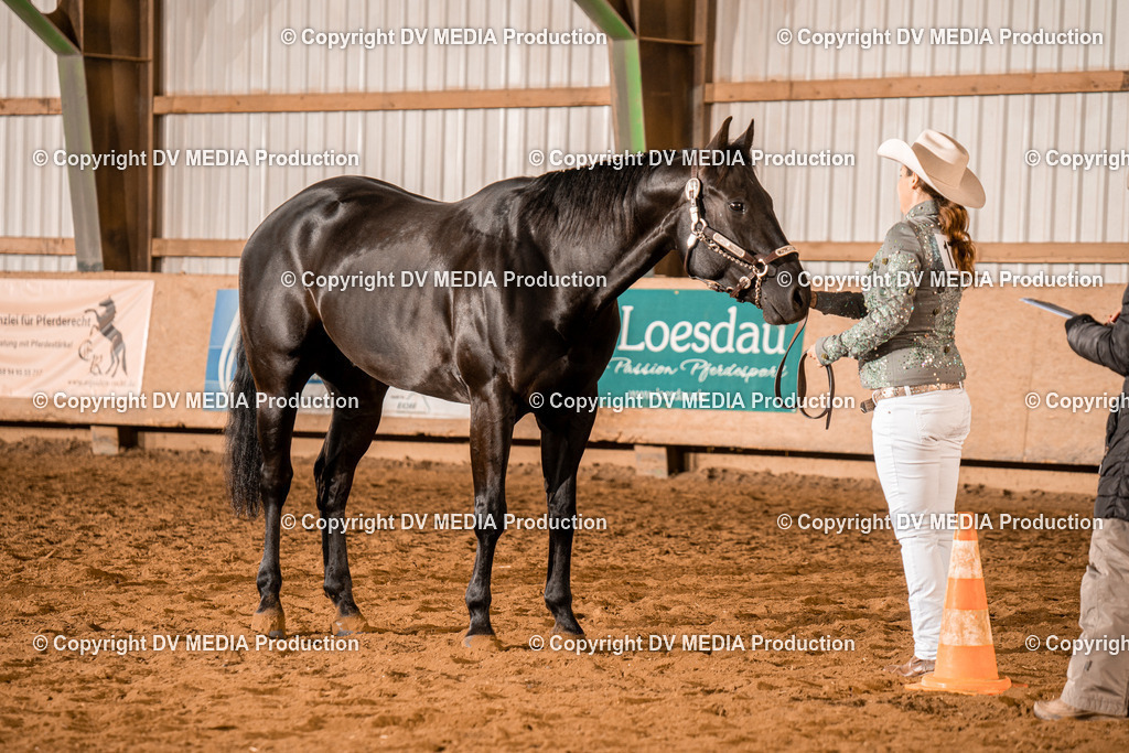 BAL01348 | dv-media-shop - Realisiert mit Pictrs.com