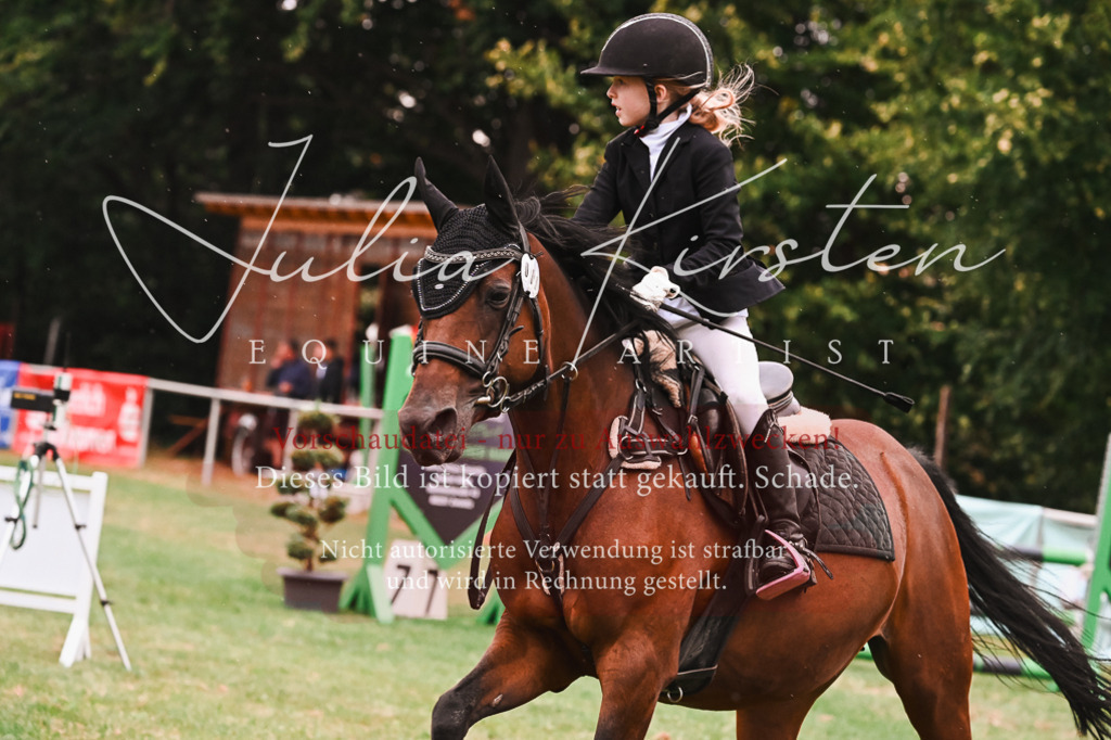 DSC_6283 | Pferde- und Turnierfotografie in Westsachsen. Pferdeportraits, Auftragszeichnungen und intuitive Kunst.