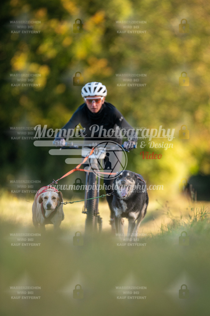 CDLBDB_15_10_2023_Dimanche-62 | mompixphotography