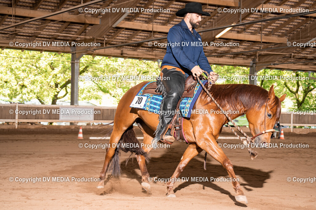 Erbach Tag 1-628 | dv-media-shop - Realisiert mit Pictrs.com