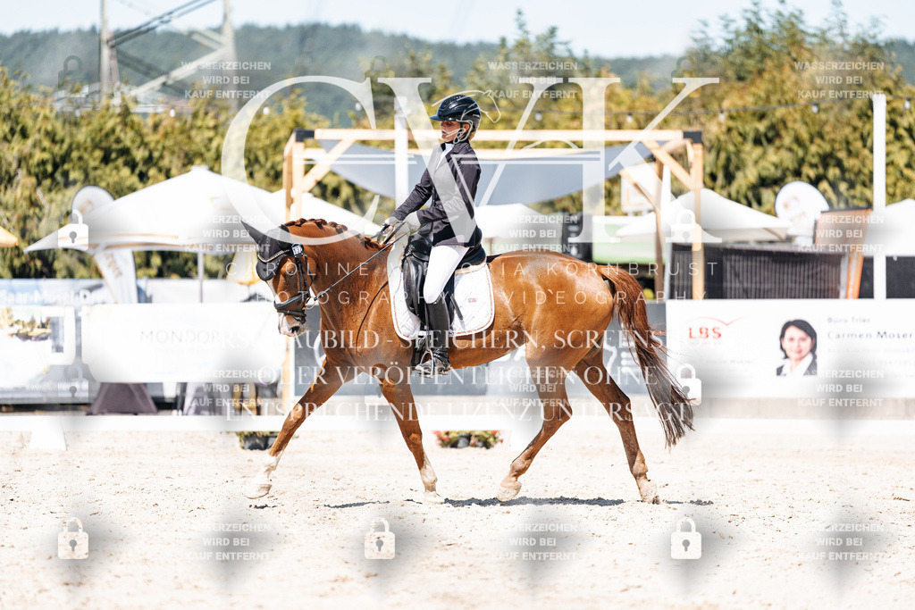 CK900459 | Turnierfotografie Pferdefotografie Trier Rheinland-Pfalz Pferdesport Reitsport Tierfotografie Sportfotografie Pferdevideo Pferdevideografie Equestrianvideography equestrianphotography  - Realisiert mit Pictrs.com