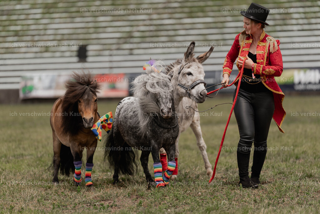 Showprogramm-255 | working equitationturnier fotograf videograf stoibphotography marixx film working equitation deutschland reitsport turnierfotografie eventfotografie equestrian events