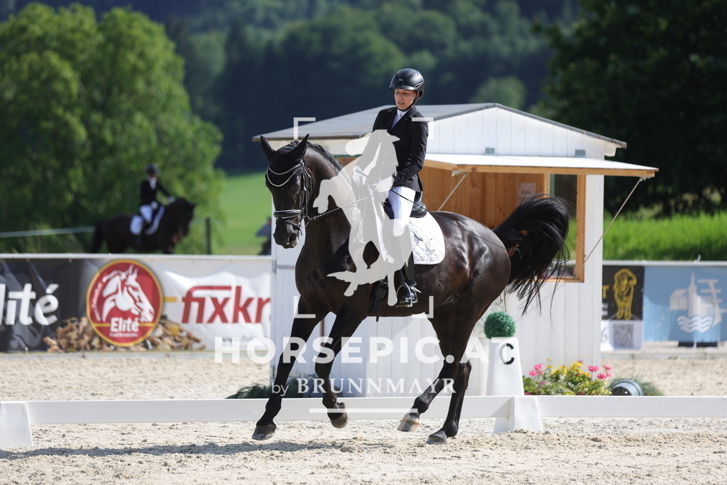 0P6A2497 | Willkommen bei Brunnmayr - Design & Fotografie – Ihrem Spezialisten für Reitturniere und Pferdeveranstaltungen in Oberösterreich, Salzburg und Bayern! Seit über 17 Jahren sind wir leidenschaftlich dabei.
