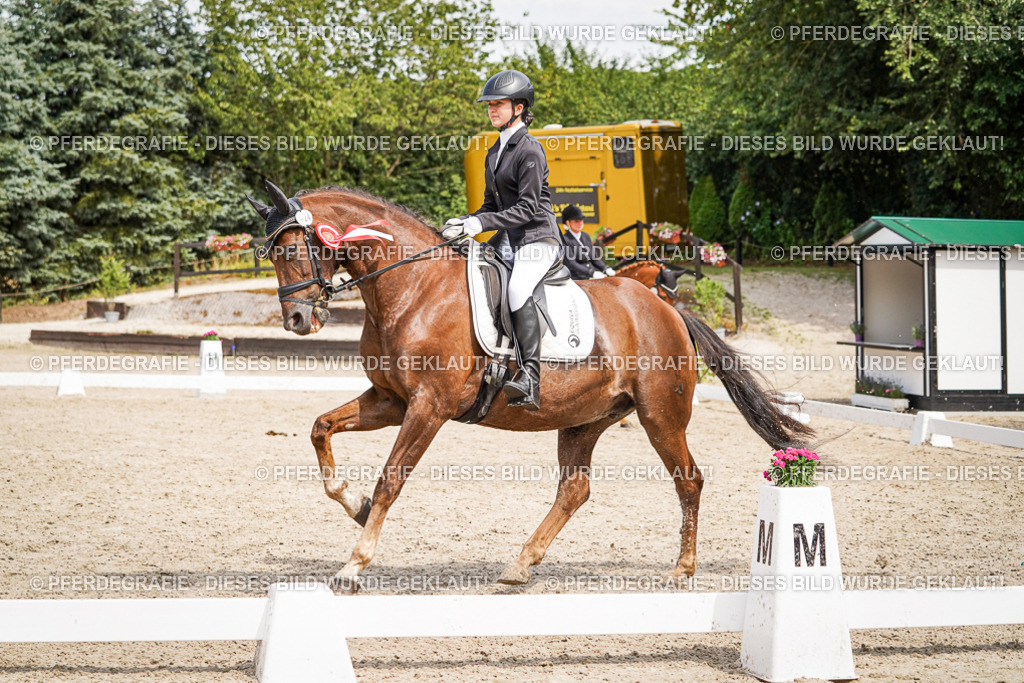 DSC04640 | Pferdegrafie