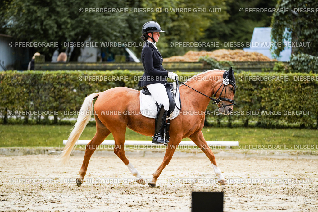 DSC08700 | Pferdegrafie