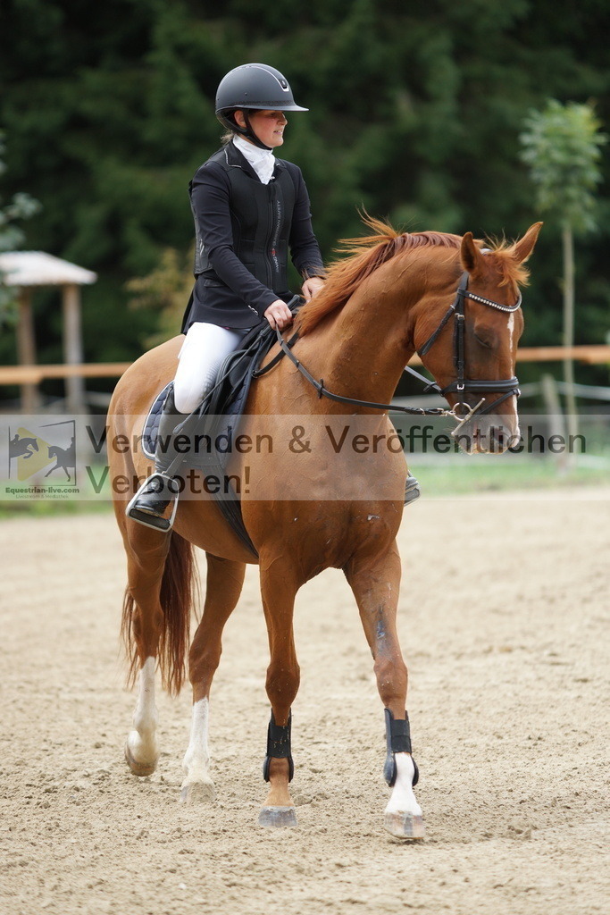 DSC06422 | equestrian-live-com