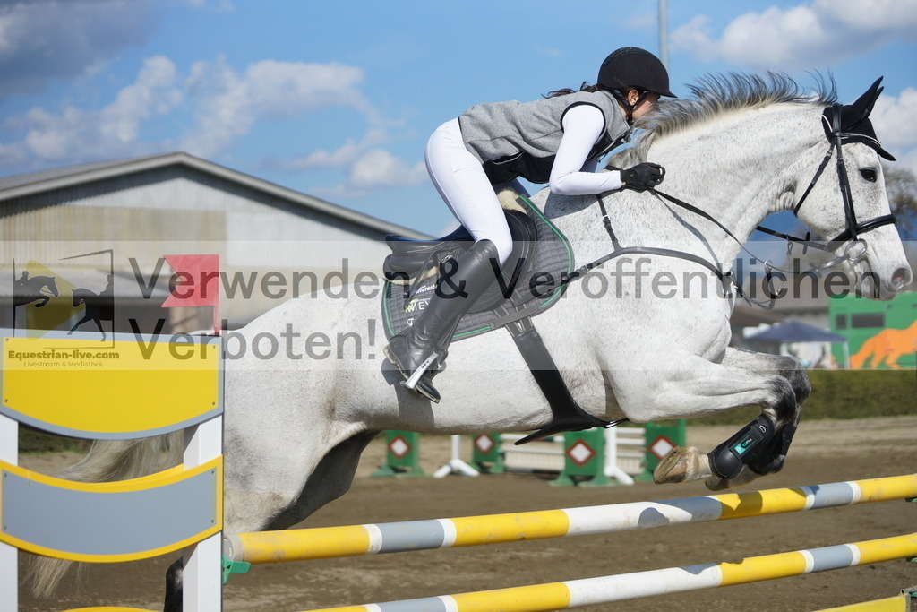 DSC03310 | equestrian-live-com