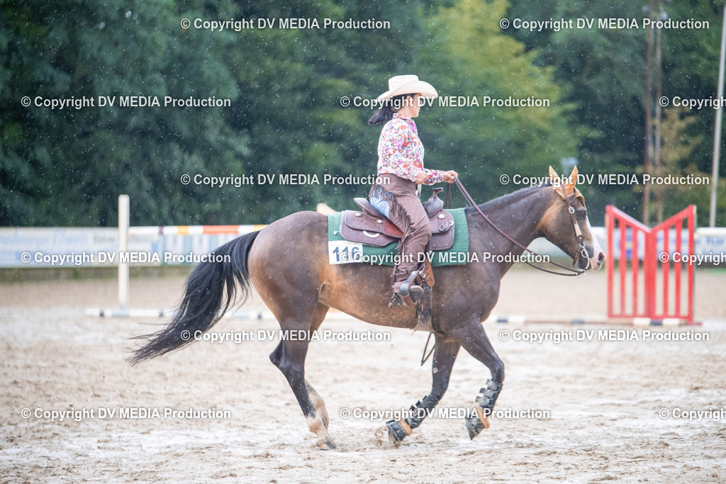 ZS2_4113 | dv-media-shop - Realisiert mit Pictrs.com