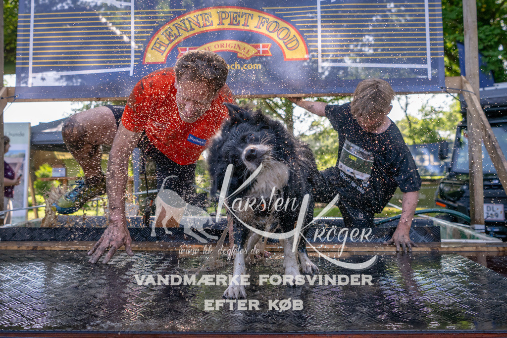 1530_ZZ91588 | kk-dogfotos