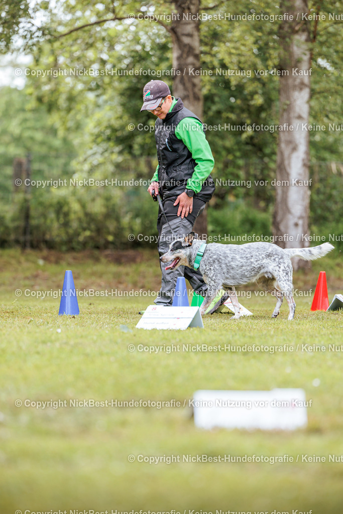 RO-Blumenthal-2026-Nickbest-Hundefotografie-5335 | Dein Hund! Dein Moment! Deine Erinnerungen! Hundefotografie in Bremen Blumenthal. Ich fange die besonderen Momente deines Vierbeiners ein – ob Indoor mit Blitzanlage oder in der freien Natur. Sicher dir dein Moment und dein Termin für eure Erinnerungen.