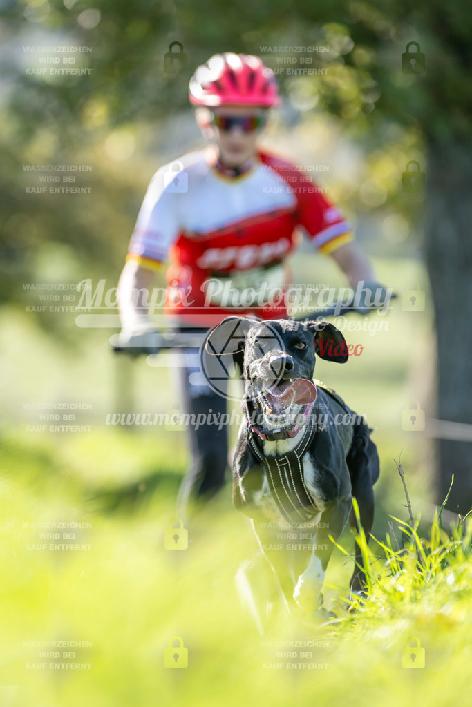 MompixPhotography_20TSB_E3_DS1-85 | PayLife