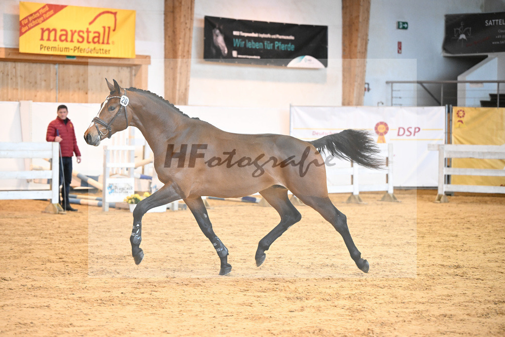 Kat-Nr. 20 v. Million Dollar_Eisenrieder_2230430 | hf-fotografie - Realisiert mit Pictrs.com