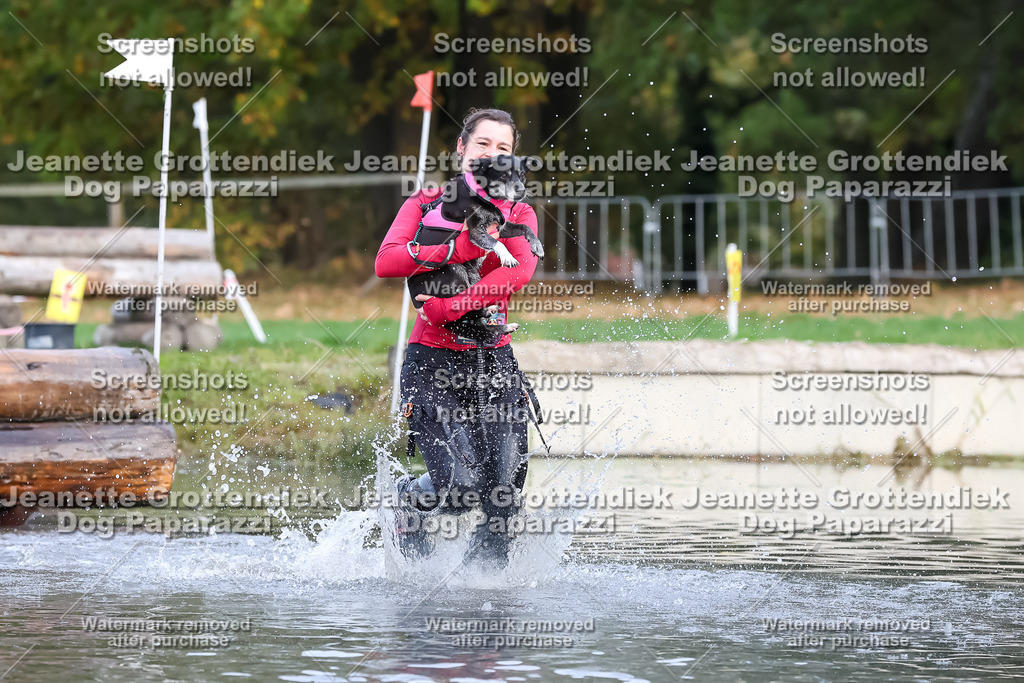 Dog Paparazzi - Strongdog 10-25-6813 | Dog Paparazzi Jeanette Grottendiek Fotografie & Videografie - Realisiert mit Pictrs.com