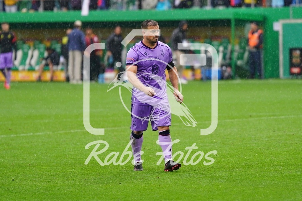 SON00784 | rabefotos