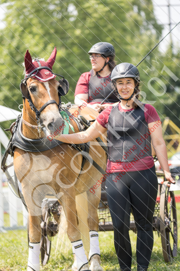 IMG_9237 | Sport-, Event- und Tierfotos in Profiqualität. Einfach auswählen, bestellen und herunterladen. Dein Moment – perfekt festgehalten.